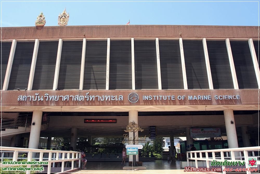 สถาบันวิทยาศาสตร์ทางทะเล