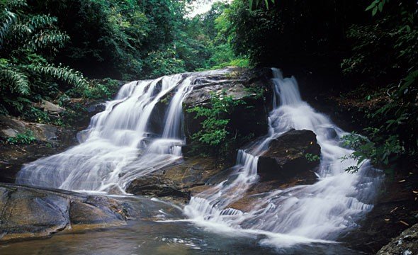 อุทยานแห่งชาติ เขาชะเมา-เขาวง