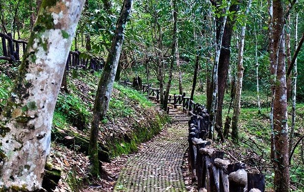 อุทยานแห่งชาติน้ำตกแม่สุรินทร์