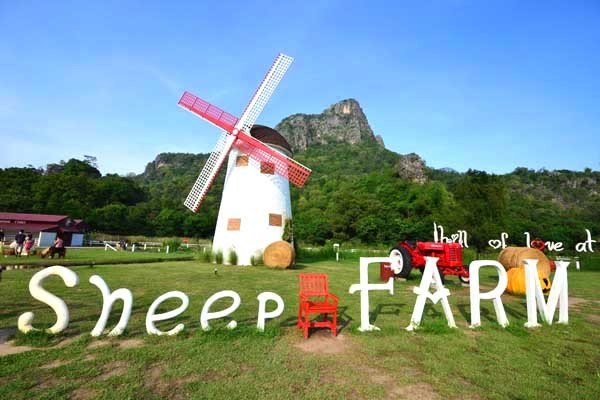 Swiss Sheep Farm