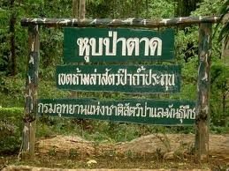 หุบป่าตาด
