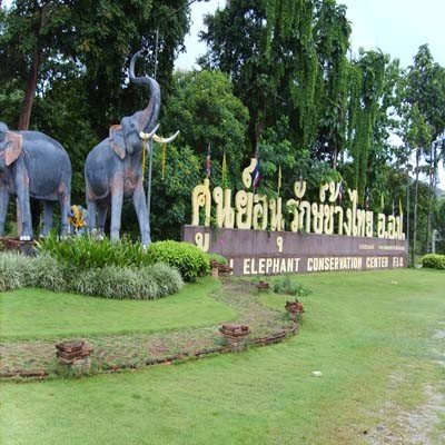 ศูนย์อนุรักษ์ช้างไทย