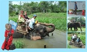 หมู่บ้านช้างดำเนินสะดวก