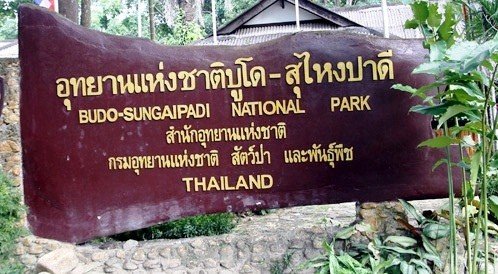 อุทยานแห่งชาติเทือกเขาบูโด – สุไหงปาดี