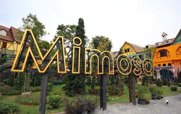 Mimosa Pattaya